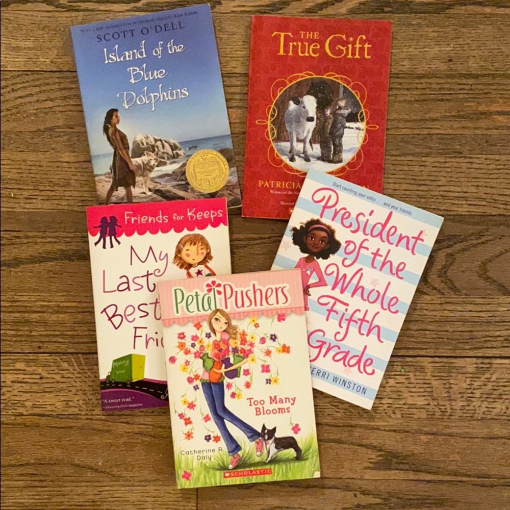 Chapter books for girls Bundle